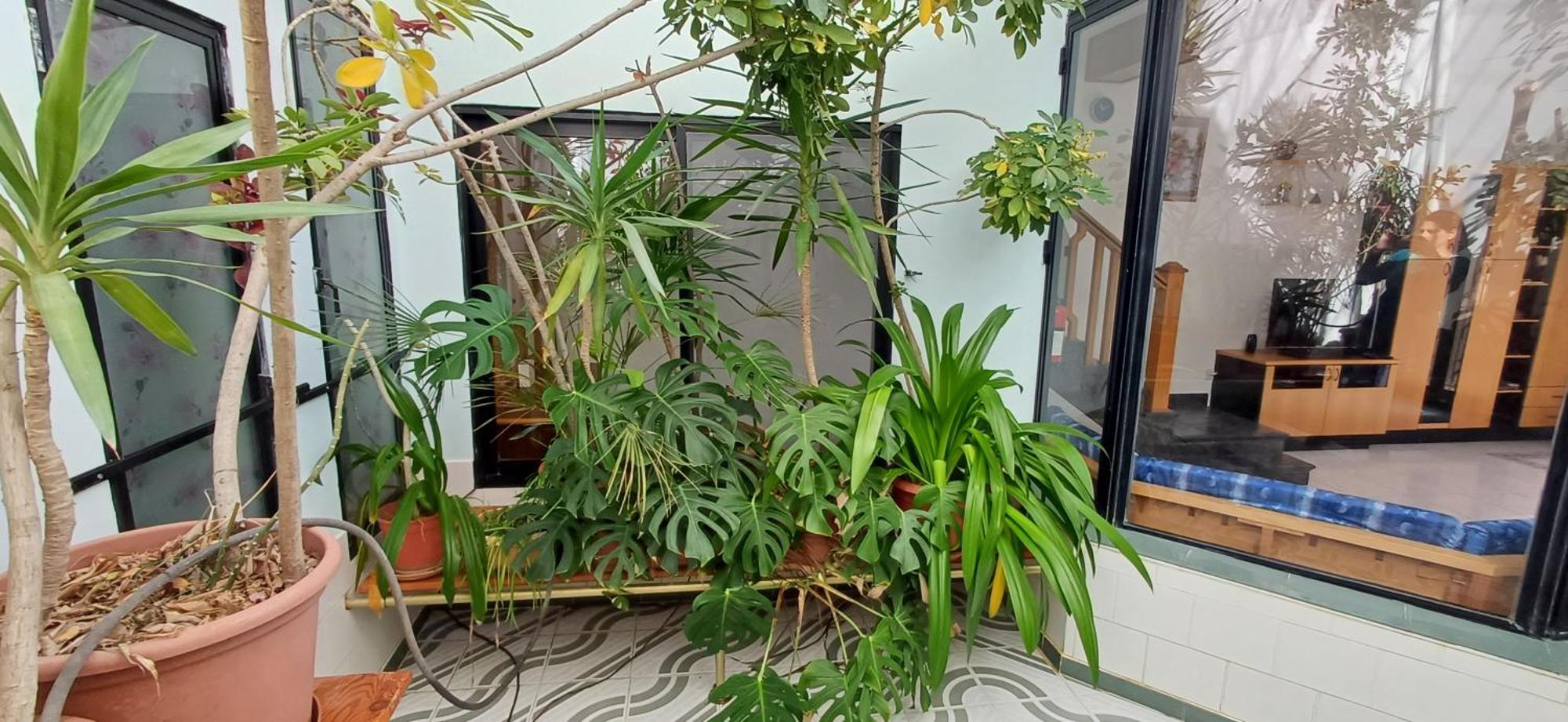 The Roof Garden